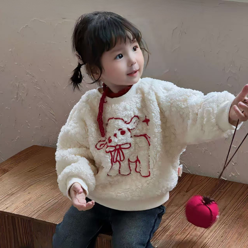 Cozy Lamb Sherpa Pullover