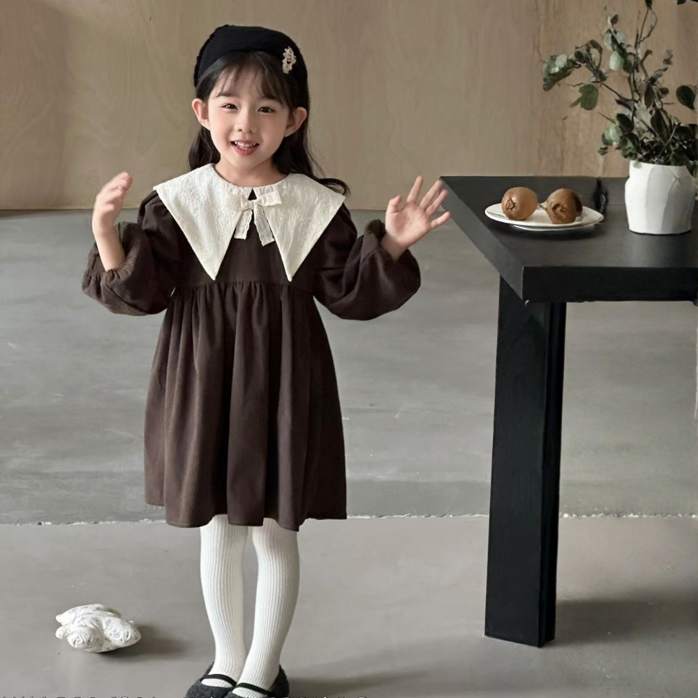 Vintage Lace Collar Cocoa Dress